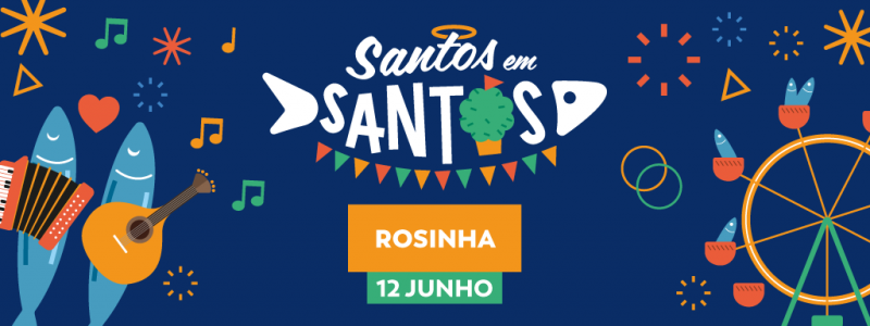Rosinha no Santos em Santos