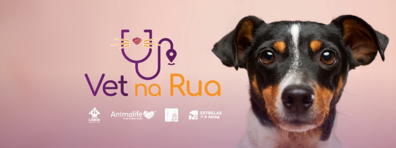Dia Mundial do Animal